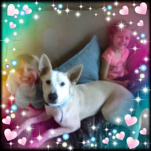 Meet your Posher, Tiara